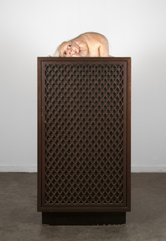 Patricia Piccinini The Listener, 2012; silicone, fibreglass, human hair, speaker; 97 x 45 x 45 cm; Edition of 6 + AP 2; enquire