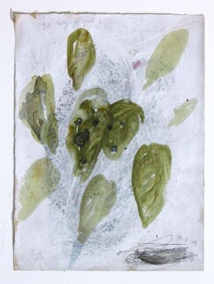 Newell Harry Untitled, 2006; gesso and oil stick on ironed Fabriano paper; 38 x 28 cm; enquire