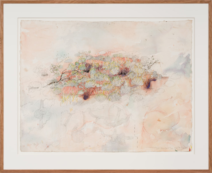 John Wolseley Burrowing bettong warren with one lone bilby burrow, 2025; watercolour and graphite on paper; 77 x 100 cm; 102 x 125 cm (framed); enquire