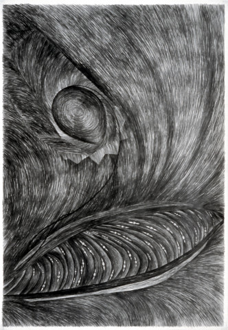 Dale Frank The Hierophant’s Cancerous Oats, 1982; graphite on paper; 268 x 188 cm; enquire