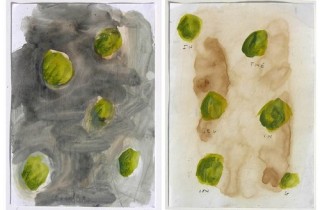 Newell Harry Untitled, 2006; 29.5 x 42 cm; enquire