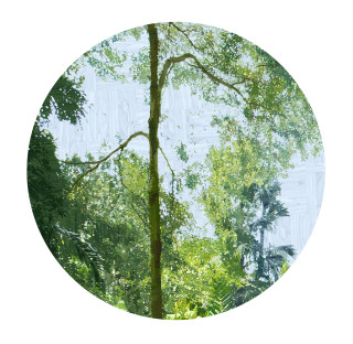 Gary Carsley D.123 Gardens By The Bay, 2019-20; Satin UV retardant laminate over unique state Lambda Type “C” print adhered to 3 mm Dibond Polyhedra, 6 mm MDF Split battens; 55 x 55 cm; more info; enquire