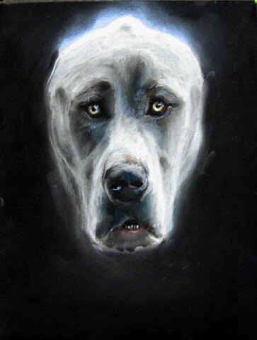 Louise Hearman Untitled #1062, 2005; pastel on coloured paper; 32 x 25 cm; enquire