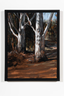 Louise Hearman Untitled #1557, 2025; oil on masonite; 61 x 46 cm; enquire