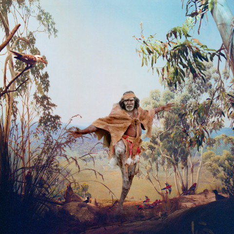 Anne Zahalka Birds of Australia , 2006; Ilfaflex Type C print; 80 x 80 cm; Edition of 10 + AP 2; enquire