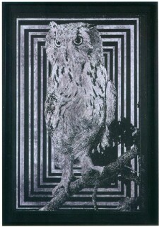 David Noonan Untitled, 2004; etching; 60 x 40 cm; enquire