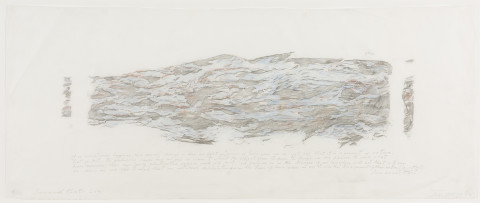 John Wolseley Immanuel Kant’s Log, 2016; graphite rubbing from found wood with coloured pencil; 35 x 88 cm; Edition of 10; Enquire
