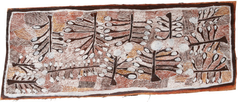 Nyapanyapa Yunupiŋu Wild Apple Orchard, 2008; Natural earth pigments on bark
3431V; 185 x 70 cm; enquire
