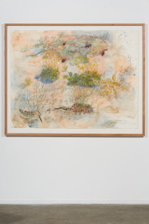 installation view; John Wolseley Yellow-throated miner sucking nectar from upside–down plants as Burrowing bettongs sleep the day away in their mazy warrens, 2025; watercolour and graphite on paper; 116 x 152 cm; 134 x 168 cm (framed); enquire
