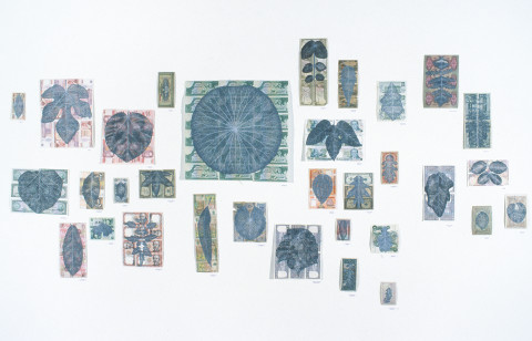 Fiona Hall Leaf Litter, 2000; bank notes, gouache; dimensions variable; enquire