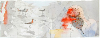 John Wolseley Migration to Mongolia- the black-tailed godwit, 2000; watercolour on paper; 56 x 23 cm; enquire