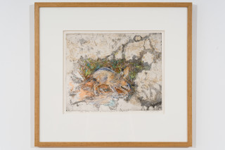 John Wolseley The Bilby Returns - Great Sandy Desert, 2024; etching with watercolour and woodcut chine-colle; 32 x 40 cm; 59 x 64 cm (framed); Edition of 30; enquire