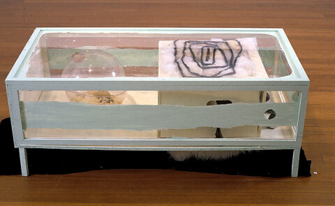 Kathy Temin Spearmint Dis-play , 1995; perpex, wood, wax, synthetic fur, perpex bowl, clay, acrylic paint; 46 x 121 x 60 cm; enquire