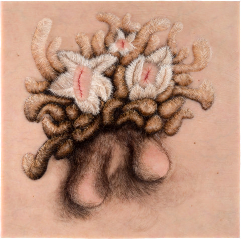 Patricia Piccinini Vanitas, 2012; Silicone, fibreglass and human hair



; 70 x 70 x 7 cm; enquire