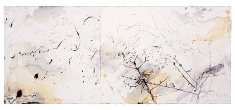 John Wolseley 5. Pinson des Arbres singing above Picasso's Grave - Vauvenargues, 2008; found charcoal, graphite and watercolour on paper; 56 x 77 cm; enquire
