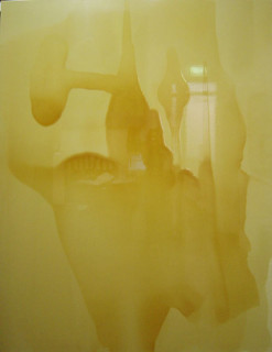 Dale Frank Sean William Scott, 2002; 260 x 200 cm; enquire