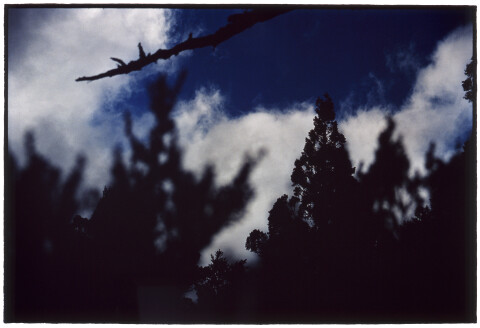 Bill Henson Untitled #13, 2005-06; CL SH462 N24; type C photograph; 127 x 180 cm; Edition of 5 + AP 2; Enquire