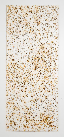 Lindy Lee Kalpa Fires (I), 2009; paper, fire ; 310 x 130 cm; enquire