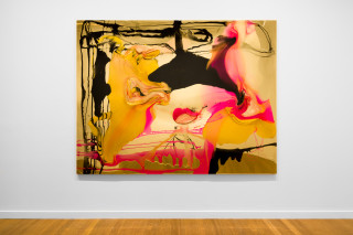 installation view; Dale Frank Lionel and Jake have an enormous collection of Christmas albums and singles, 2025; colour pigments in epoxyglass, epoxyglass, on perspex; 200 x 260 cm; enquire