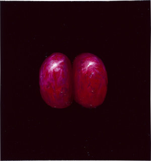 Louise Hearman Untitled #  1022, 2003; oil on masonite; 31 x 30 cm; enquire