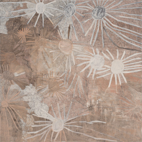 Nyapanyapa Yunupiŋu Stars, 2020; 4119-20; natural earth pigments on board; 244 x 244 cm; more info; enquire