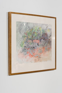 John Wolseley Ngurra - Dwelling; Great Desert Skink - Watikinpirri, 2024; watercolour and graphite on paper; 55 x 74 cm; 80 x 98 cm (framed); enquire