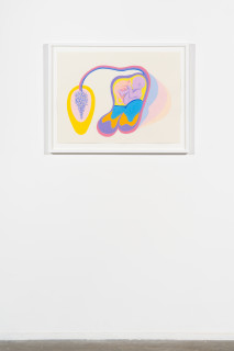 installation view; Patricia Piccinini Wisteria Companions, 2025; acrylic on paper; 56 x 76 cm; enquire