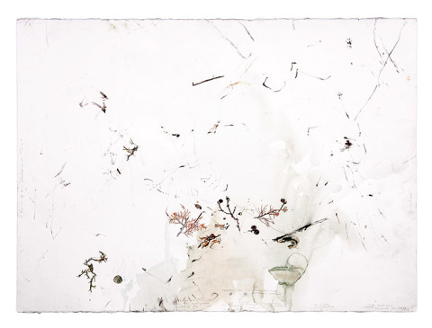 John Wolseley 13. An Inventory of the Plants of the Maquis, no. 2, 2008; found charcoal, graphite and watercolour on paper; 50 x 77 cm; enquire