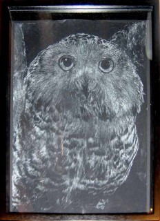 The Armory Show David Noonan, 2003; from the series Snowy Owl; gouache on paper; 39.2 x 28.2 cm; 35 x 24.5 cm (image size); enquire