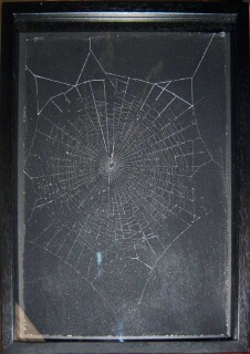 The Armory Show David Noonan, 2003; from the series Web; pencil and web on paper; 39.2 x 28.2 cm; 35 x 24.5 cm (image size); enquire