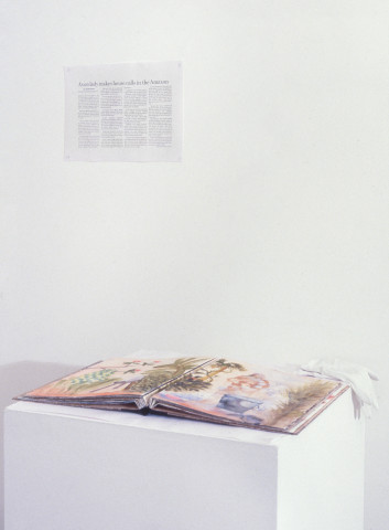 Fiona Hall & Nalini Malani The Avon Lady in the Amazon, 1998; watercolour, gouache on water colour paper; 39 x 32 cm; each page; enquire