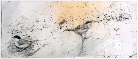 John Wolseley 10. Fauvette Melanocephale, 2008; Juniper charcoal, graphite and watercolour on paper; 24 x 55.5 cm; enquire
