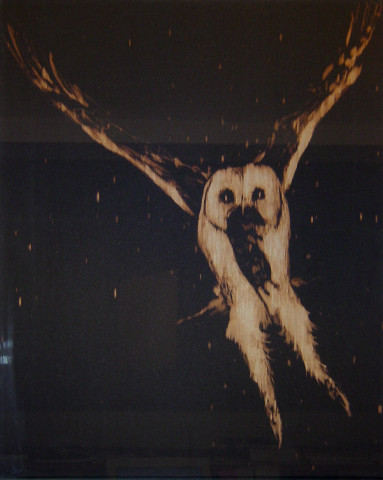 David Noonan Prey, 2003; bleach painting; 55 x 45 cm; (framed size); enquire