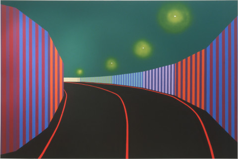 Dale Frank Speed Way, 2001; from the series Cat #3; acrylic paint on canvas; 200 x 300 cm; enquire