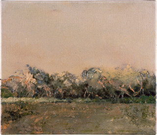 Mandy Martin Looking over the Lignum Swamp from the Tank, 1997; oil, ochre, pigment on linen; 30 x 35 cm; enquire