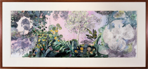 John Wolseley Jungle tree, Parkia Javanica, Taman Negara, 2000; watercolour on paper; 57 x 152 cm; enquire
