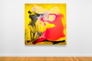 installation view; Dale Frank Lighter the sun slowly rose really blinding, blackening their mood, 2026; colour powder pigments in Epoxyglass, Epoxyglass, on perspex; 200 x 200 cm; enquire