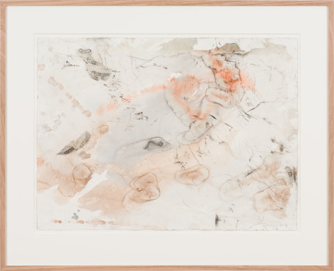 John Wolseley The hidden layer of insects and soil biota, 2022; watercolour on paper; 79.5 x 98 cm (framed); enquire
