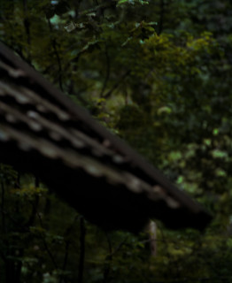 Bill Henson Untitled #16, 1976-2016; from the series Kindertotenlieder; archival inkjet pigment print; 69 x 60 cm; Edition of 10; enquire
