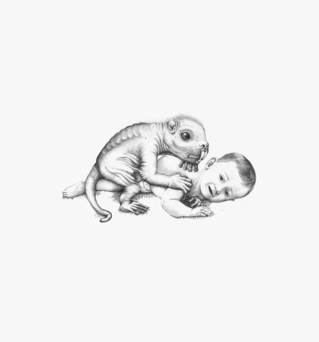 Patricia Piccinini Hector (on carpet), 2006; graphite on paper; 57 x 77 cm; enquire