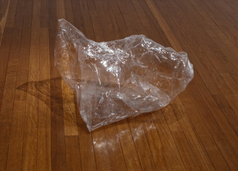 Mikala Dwyer Empty Sculpture, 2011; PETG, air; 100 x 70 x 55 cm; enquire