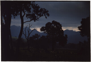 Bill Henson Untitled #44, 1996-97; CL SH70 N23; type C photograph; 127 x 180 cm; Edition of 5 + AP 2; Enquire