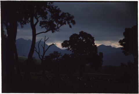 Bill Henson Untitled #44, 1996-97; CL SH70 N23; type C photograph; 127 x 180 cm; Edition of 5 + AP 2; Enquire