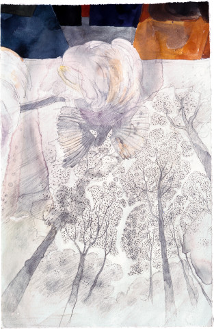 John Wolseley Bird of paradise- forest canopy, 2000; watercolour on paper; 34 x 20.5 cm; enquire