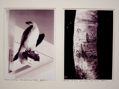 Destiny Deacon Postcard from Yarrabah (1) (2), 1998; 2 black & white laser prints; 29.7 x 21 cm; Edition of 15; enquire