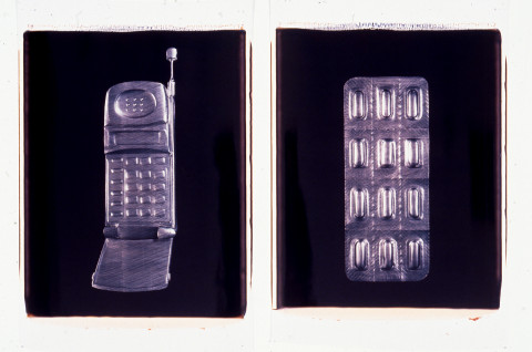 Fiona Hall Untitled, 1994; polaroid photographs; 68 x 53 cm; each (image size), diptych; enquire