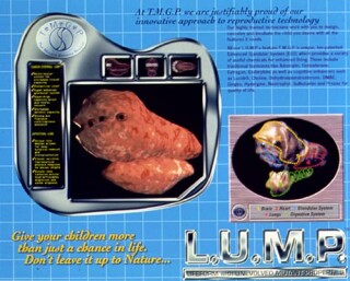 Patricia Piccinini TMGP 2, 1994; from the series The Mutant Genome Project; Type C colour photograph; 100 x 130 cm; Edition of 3; enquire