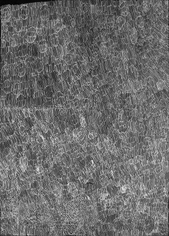Nyapanyapa Yunupiŋu 50. Birrka'mirri 18, 2011; 1268-16 (Ac. 3.21); paint pen on clear acetate plastic; 83.5 x 59.5 cm; enquire