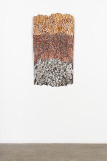 installation view; Yalmakany Marawili Yams, vines and fruits, 2026; 2127-26; earth pigments on stringybark; 115 x 64 cm; enquire