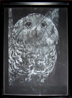 The Armory Show David Noonan, 2003; from the series Owl; gouache on paper; 44.2 x 33.5 cm; 40.5 x 30 cm (image size); enquire